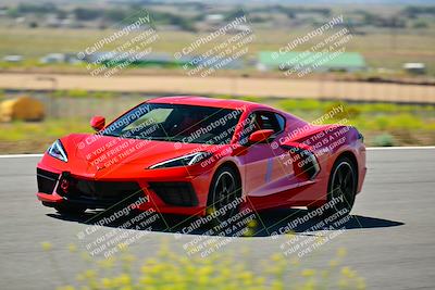 media/May-11-2024-Speed Ventures (Sat) [[6540dbf9cc]]/Black Group/Session 2-Bowl Entrance/